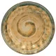 Миска для супа Milika Sand Yellow, 20 см, жовтий, M0540-TRSC251815-80SP, фото 2 Миска для супа Milika Sand Yellow, 20 см, жовтий, M0540-TRSC251815-80SP купити недорого в Україні, фото 2