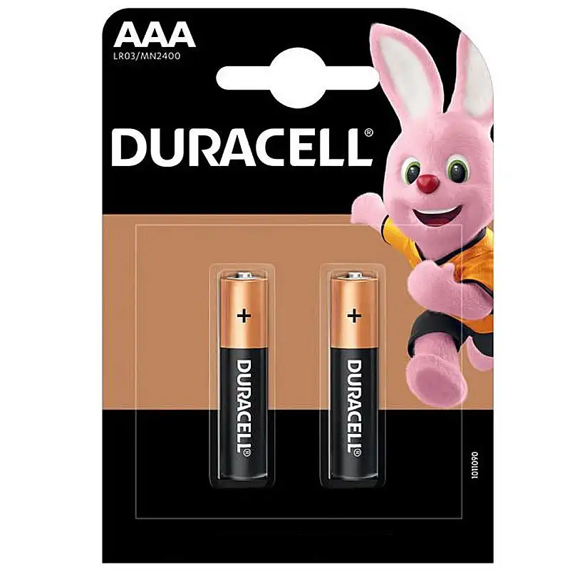 Батарейка Duracell Basic AAA 1,5V LR03, 2 шт., 81268853 купити недорого в Україні, фото 1