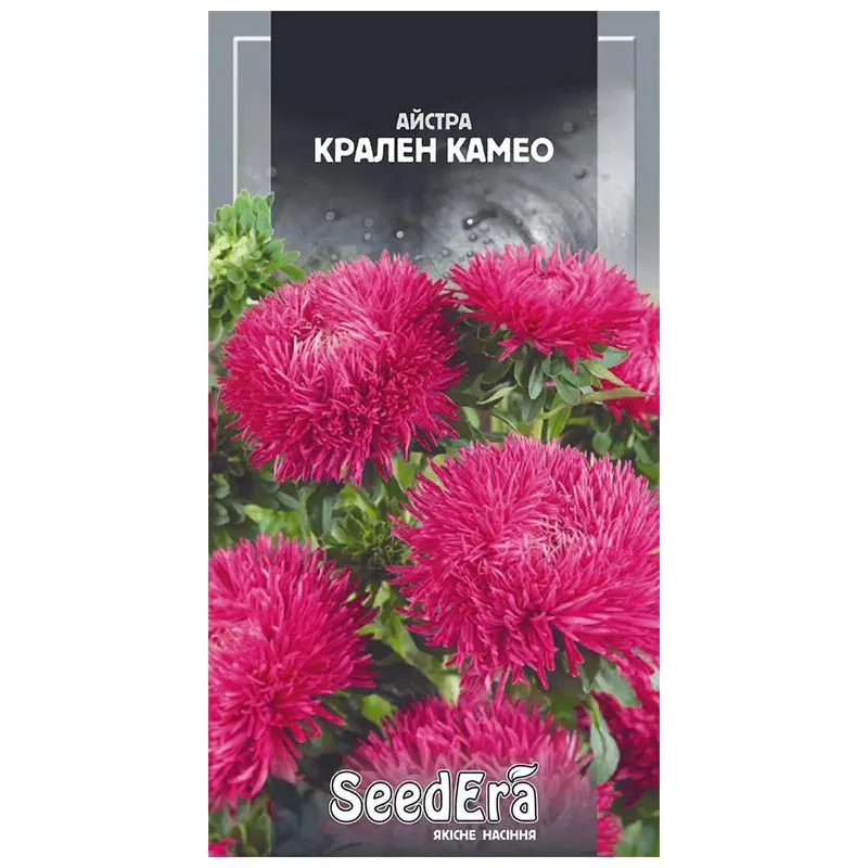 Насіння айстри Seedera Крален Камео, 0,25 г купити недорого в Україні, фото 1