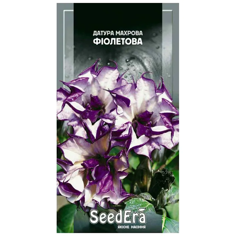 Насіння датури Seedera Махрова фіолетова, 5 шт купити недорого в Україні, фото 1