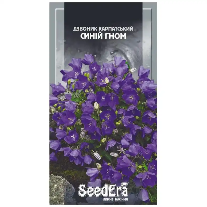 Насіння квітів дзвоника карпатського SeedEra Синій гном багаторічний, 0,1 г, Т-002859 купити недорого в Україні, фото 1