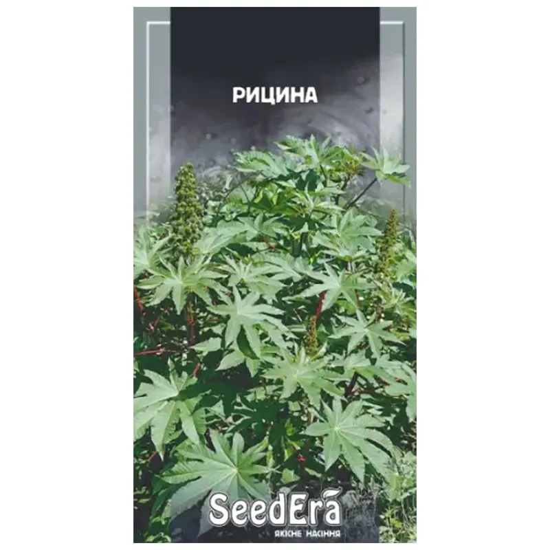 Семена рицины Seedera, 2,5 г купить недорого в Украине, фото 1