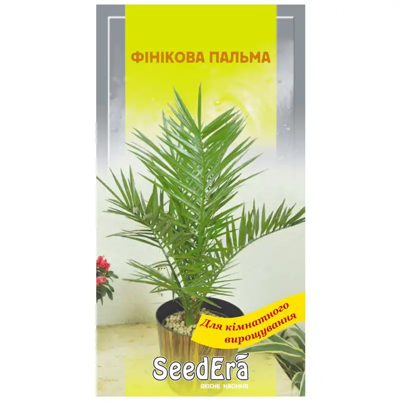 Семена цветов финиковой пальмы SeedEra, 2 шт, У-0000012320 купить недорого в Украине, фото 1