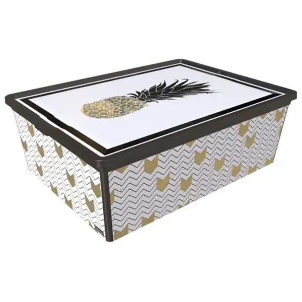 Контейнер для хранения с крышкой Qutu Trend Box Pineapple Life, 25 л, 6709312 купить недорого в Украине, фото 1