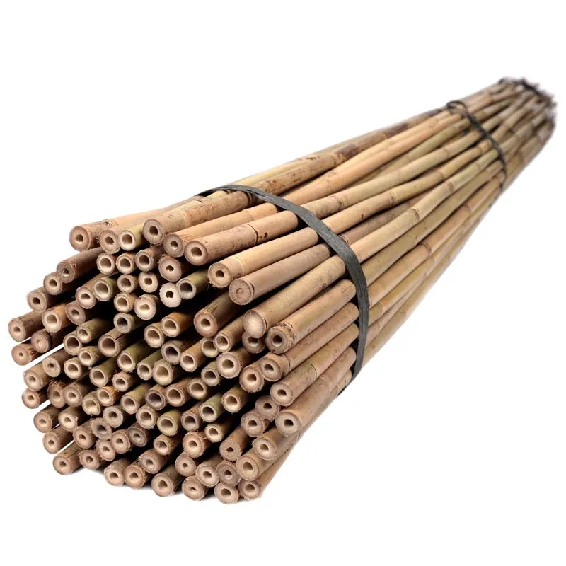 Опора для рослин бамбукова, 150 см, 0508.012 купити недорого в Україні, фото 1