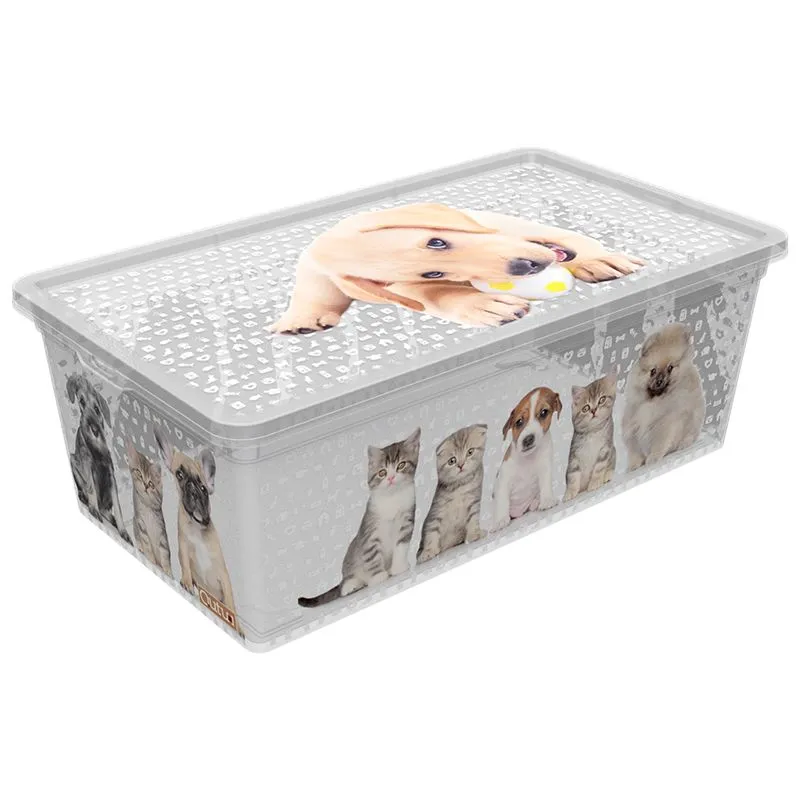 Бокс з кришкою Qutu Light box Cats and dogs, 5 л, 6739288 купити недорого в Україні, фото 1