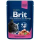 Влажный корм для котов Brit Premium Треска, лосось и форель, пауч, 100 г, 100271, фото 1 Влажный корм для котов Brit Premium Треска, лосось и форель, пауч, 100 г, 100271 купить недорого в Украине, фото 1