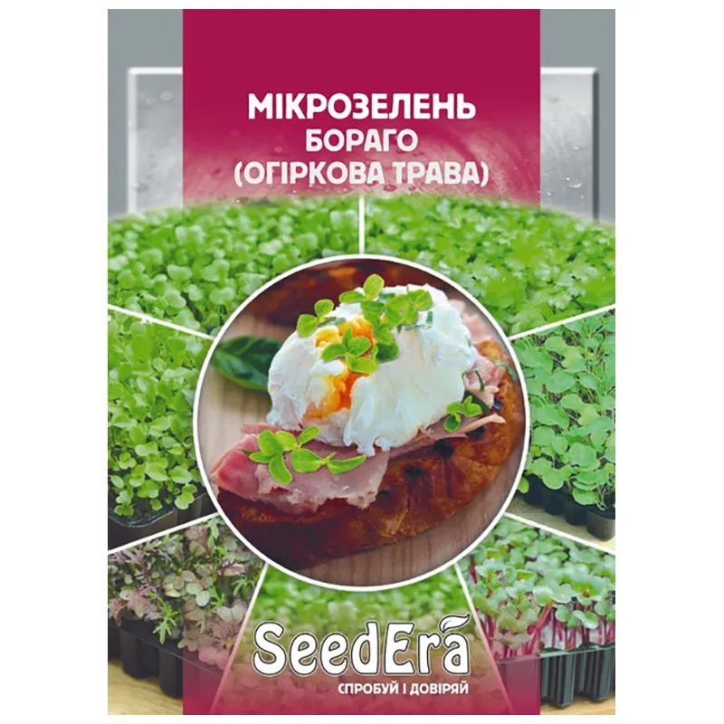 Насіння SeedEra Мікрозелень Огіркова трава, 10 г купити недорого в Україні, фото 1