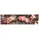 Кухонный фартук San Decor Орхидея и сладости, 650х2500 мм, Z180138, фото 1 Кухонный фартук San Decor Орхидея и сладости, 650х2500 мм, Z180138 купить недорого в Украине, фото 1