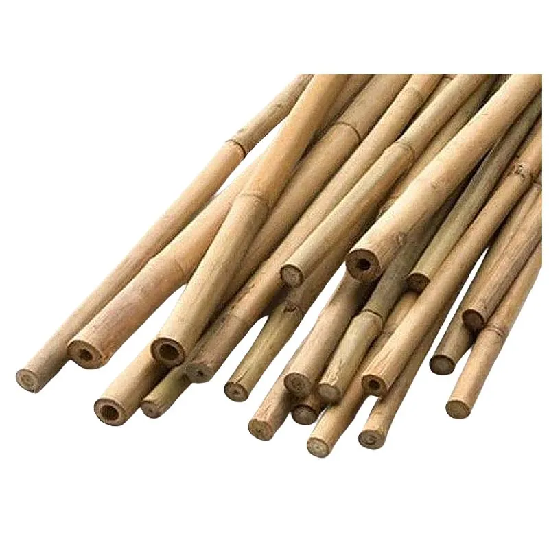Опора для рослин бамбукова, 150 см, 0508.011 купити недорого в Україні, фото 1