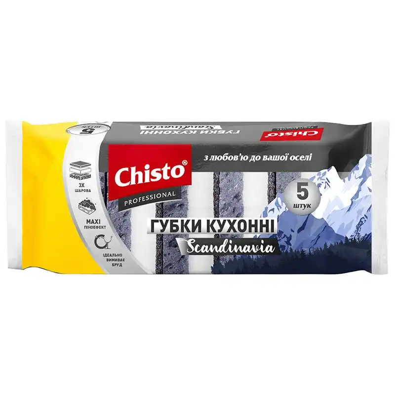 Губка кухонная Chisto Scandinavia, 5 шт, GKS.5.95 купить недорого в Украине, фото 1